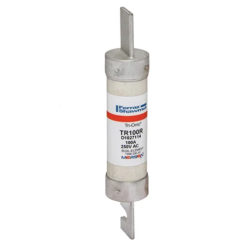 [TR100R] Mersen TR100R 250V 100A RK5 Time Delay Fuse