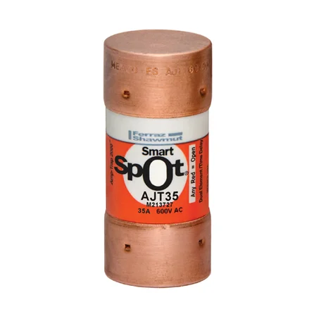 AJT35 class J T/delay fuse 600V