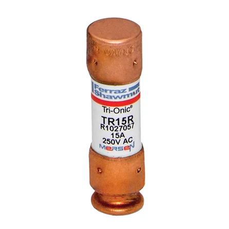 [TR15R] TR15R class RK5 T/D fuse 250V 